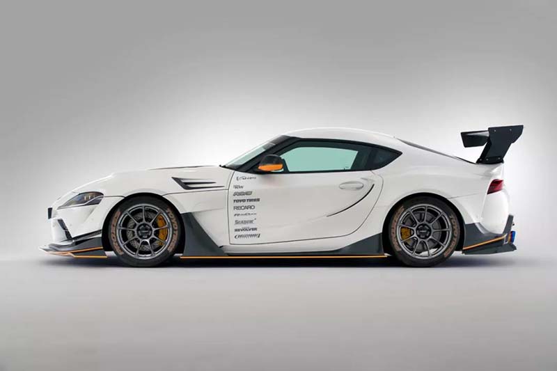 varis 10.jpg